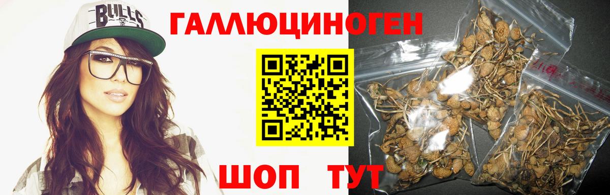 Псилоцибиновые грибы мицелий  Вход с VPN  Черняховск 